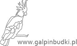 Sklep z akcesoriami dla ptaków - Galpin